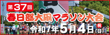 第37回春日部大凧マラソンホームページ